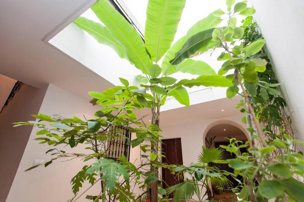 Appartement Cheap & Chic In The Center Of Séville